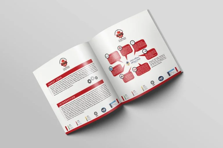 CNSA CAPABILITY STATEMENT